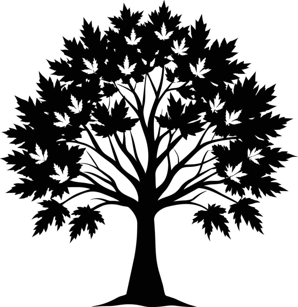 A black and white silhouette of a maple tree vector