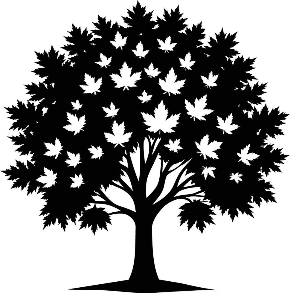 A black and white silhouette of a maple tree vector
