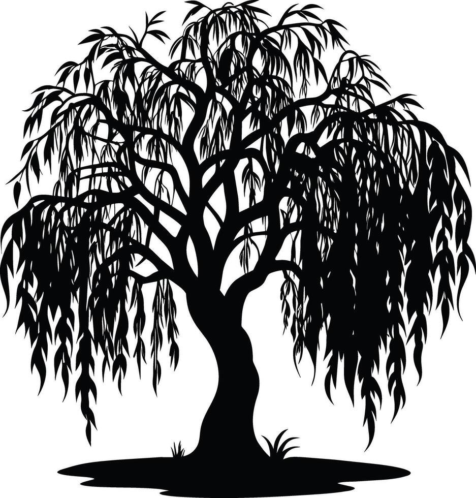 A black and white silhouette of a willow tree vector