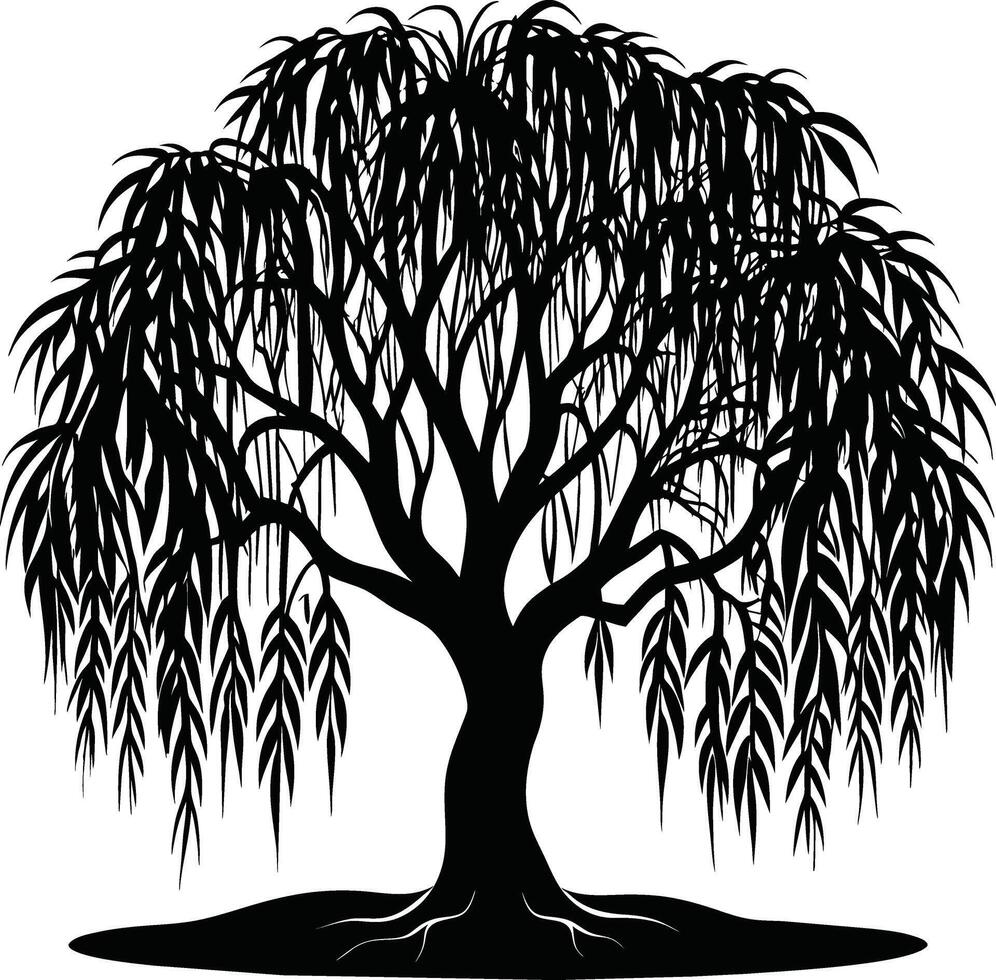 A black and white silhouette of a willow tree vector