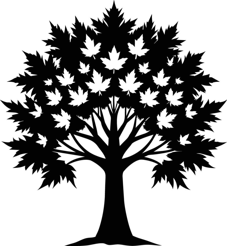 A black and white silhouette of a maple tree vector