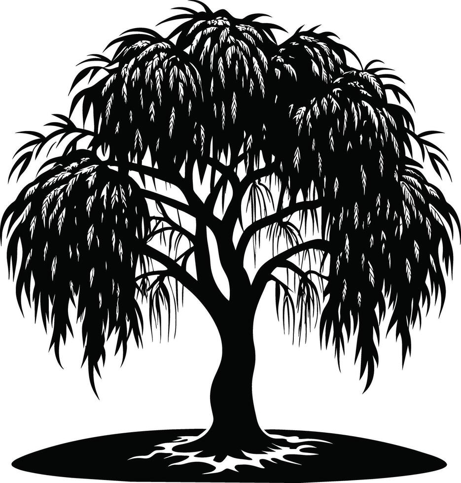 A black and white silhouette of a willow tree vector