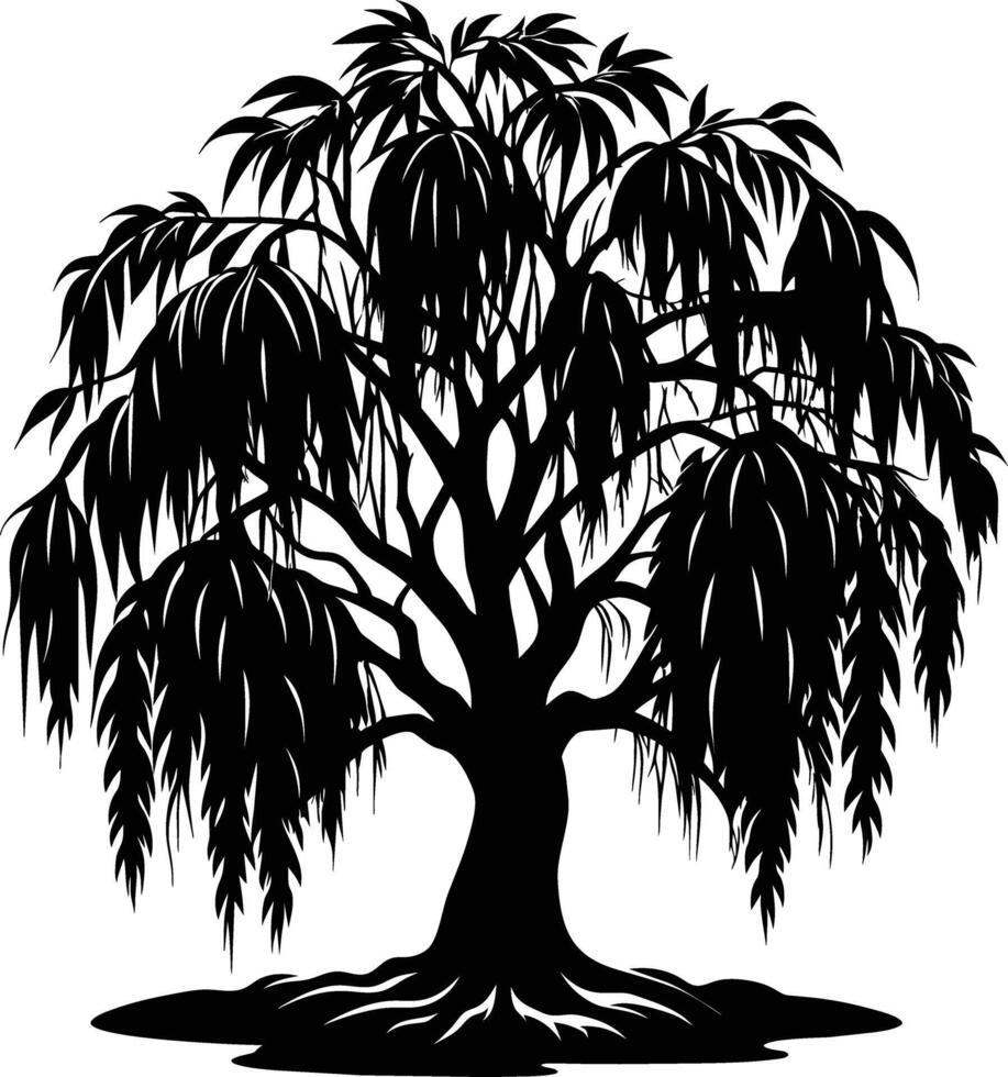 A black and white silhouette of a willow tree vector