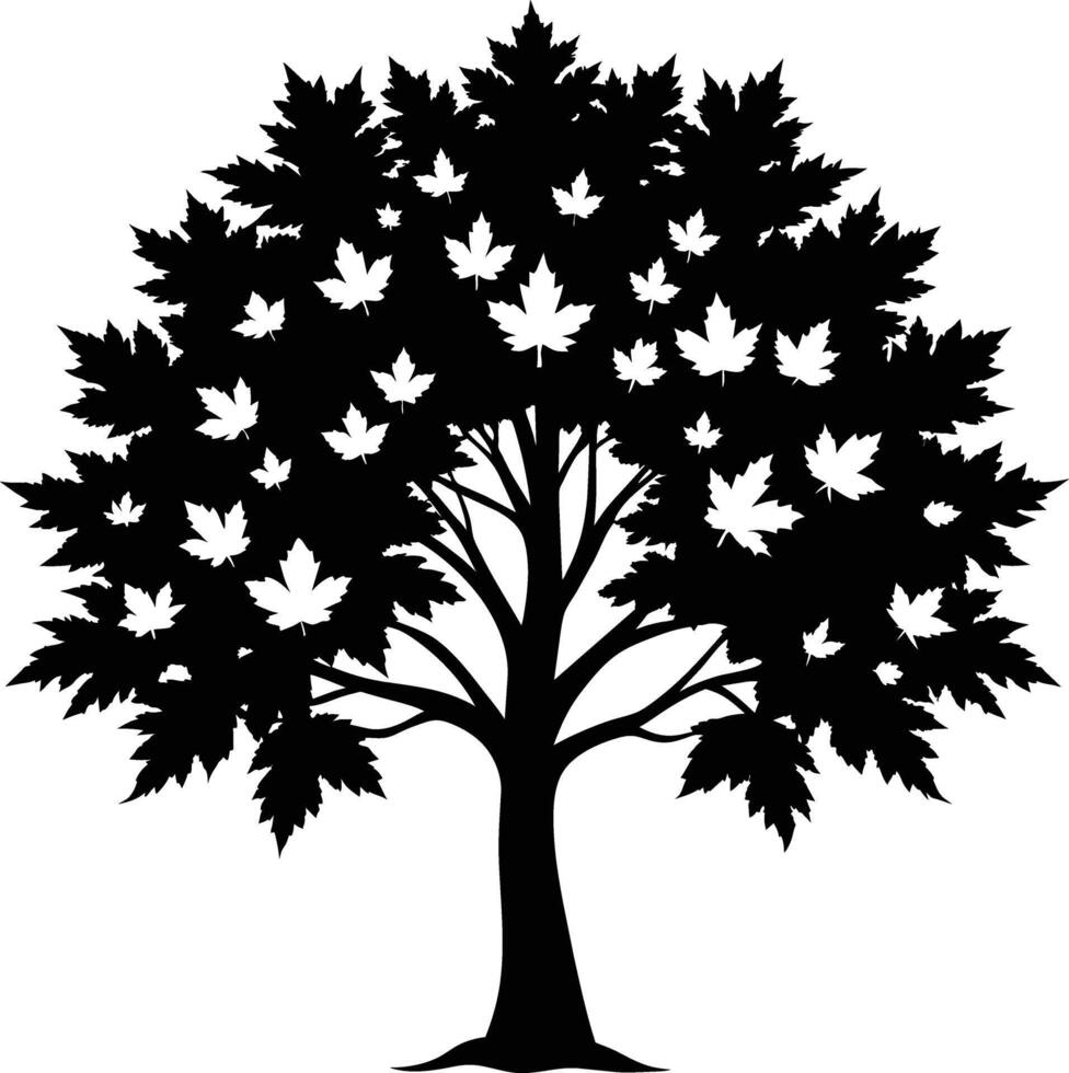 A black and white silhouette of a maple tree vector