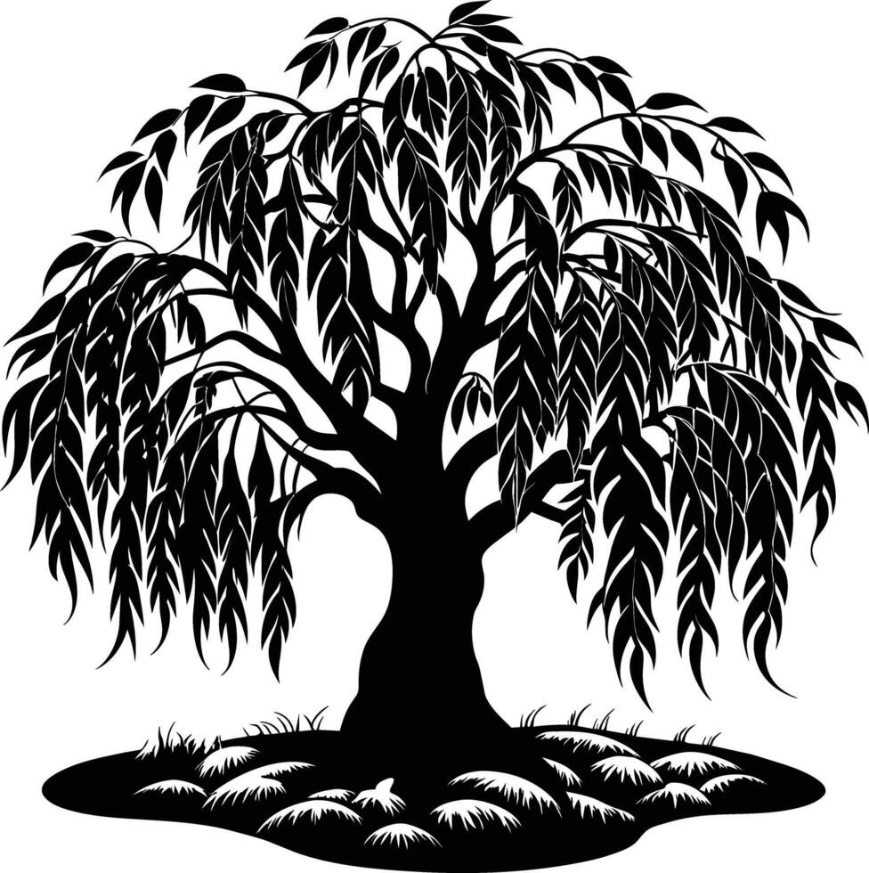 A black and white silhouette of a willow tree vector