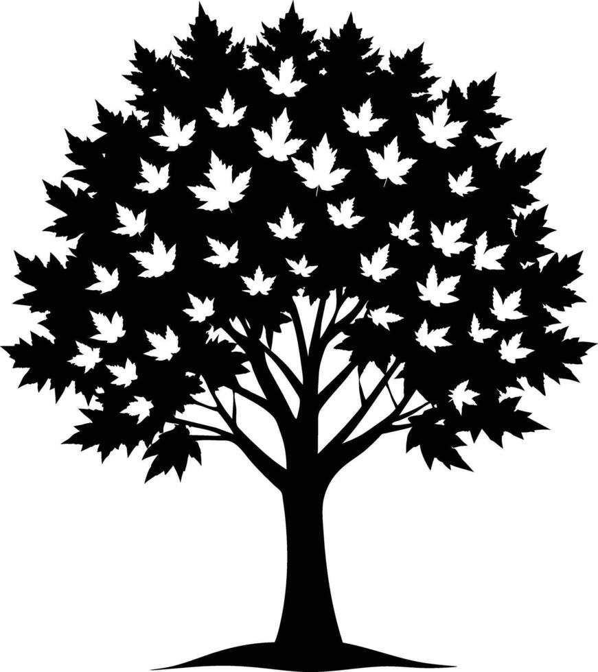 A black and white silhouette of a maple tree vector
