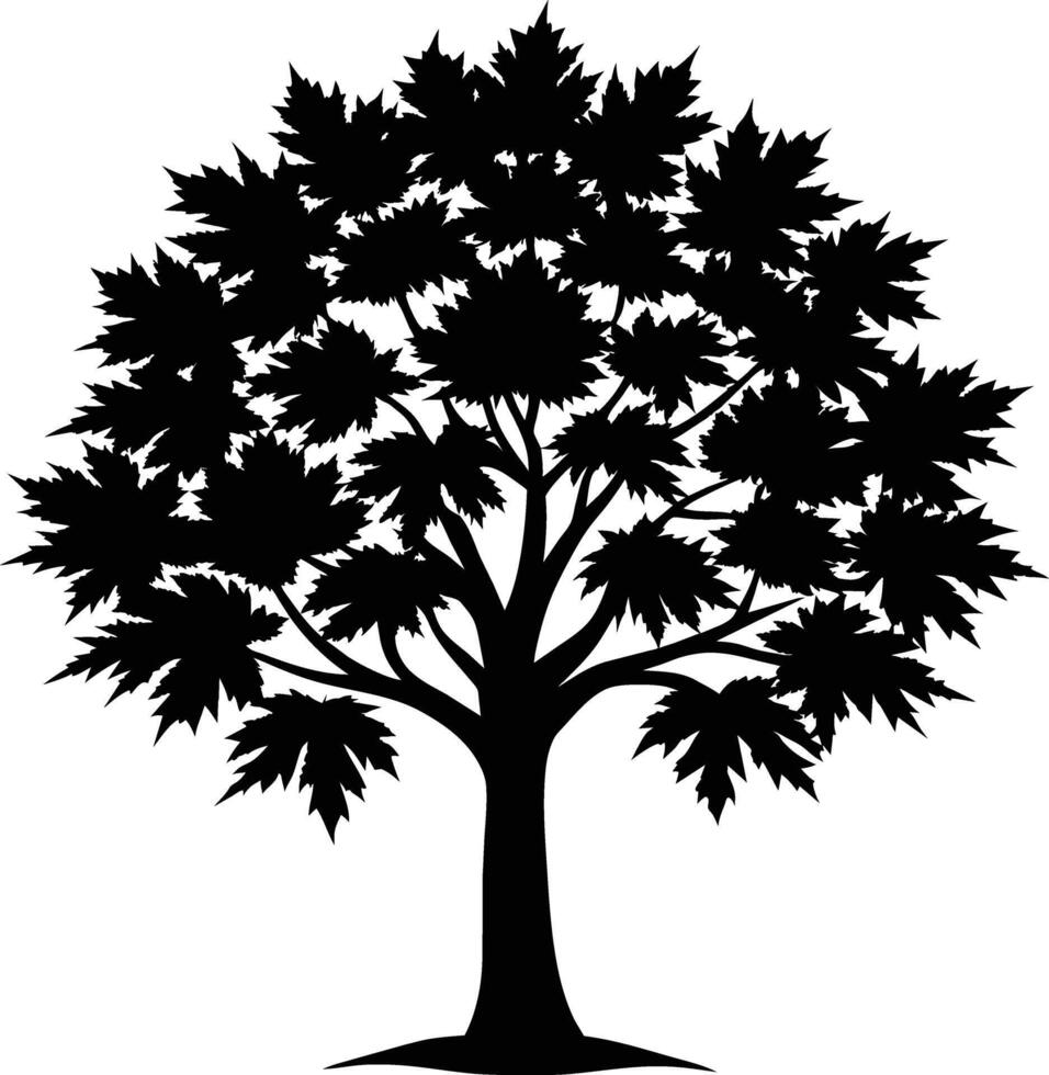 A black and white silhouette of a maple tree vector