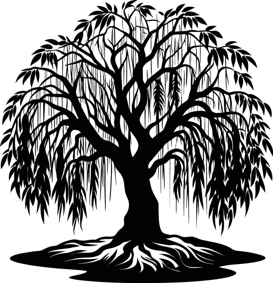 A black and white silhouette of a willow tree vector