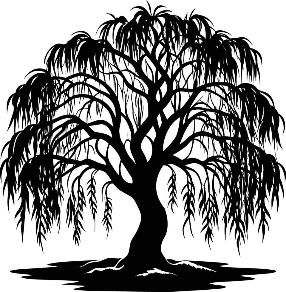 A black and white silhouette of a willow tree vector