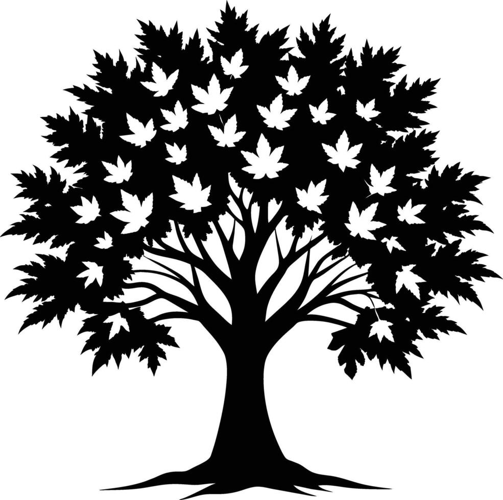 A black and white silhouette of a maple tree vector