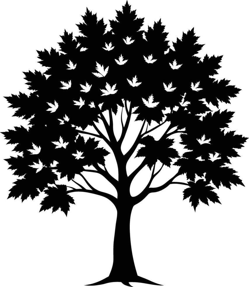 A black and white silhouette of a maple tree vector