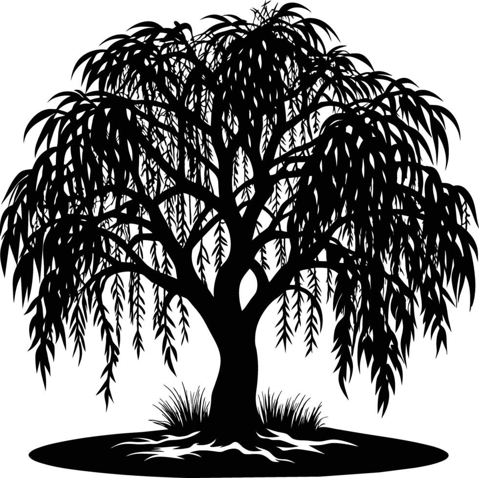 A black and white silhouette of a willow tree vector