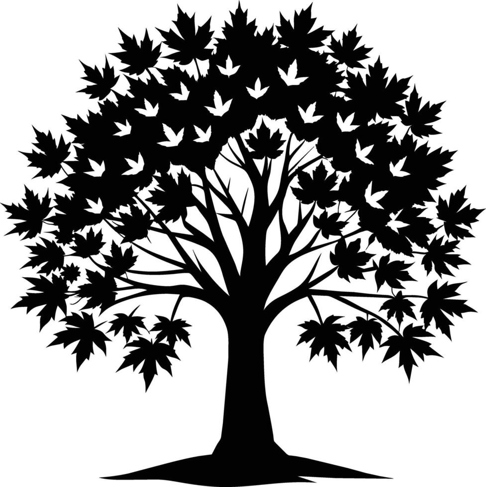 A black and white silhouette of a maple tree vector