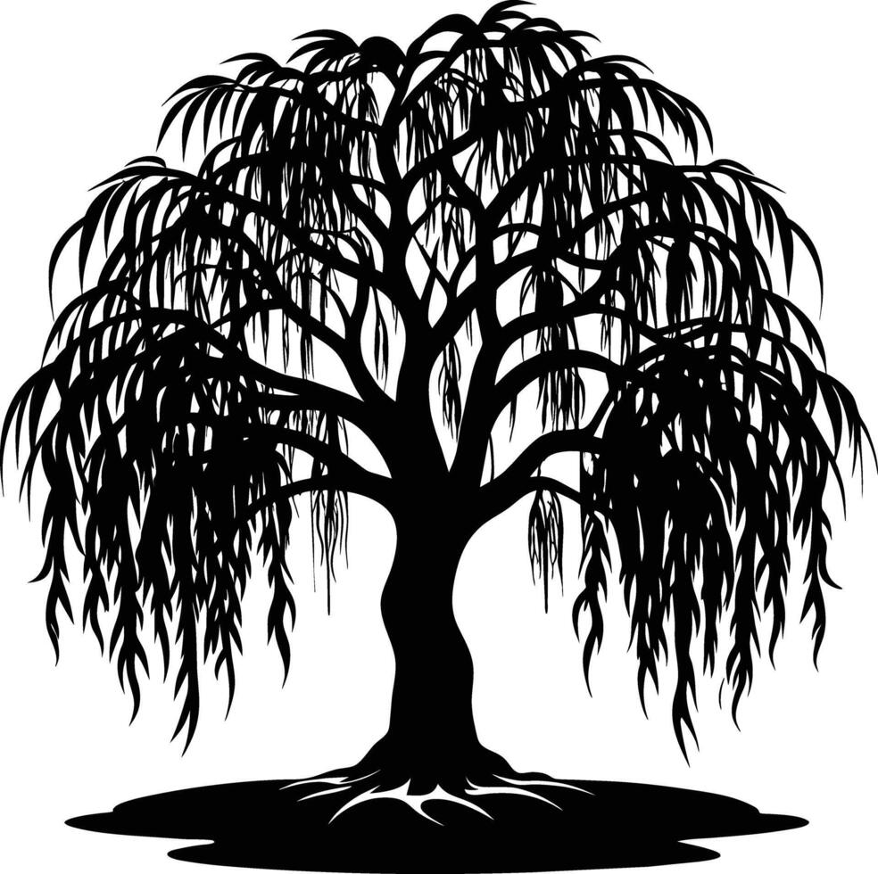 A black and white silhouette of a willow tree vector