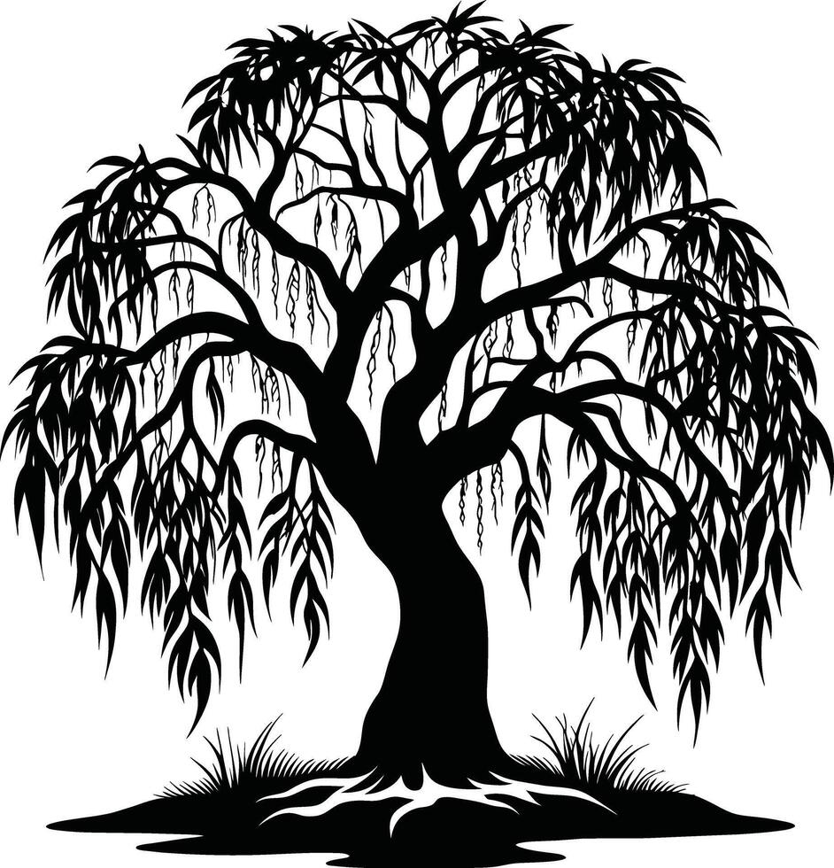 A black and white silhouette of a willow tree vector