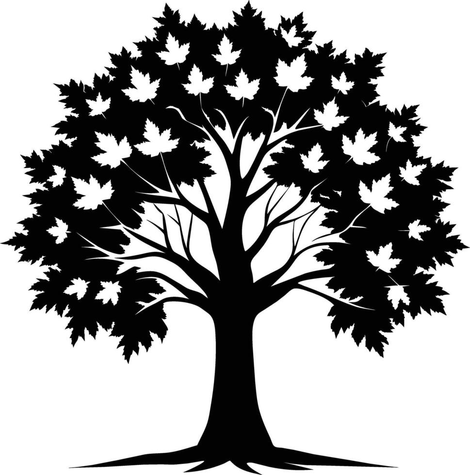 A black and white silhouette of a maple tree vector