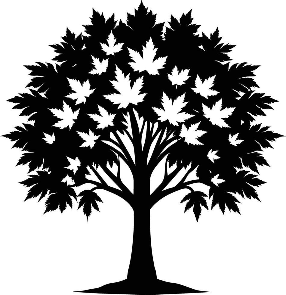 A black and white silhouette of a maple tree vector
