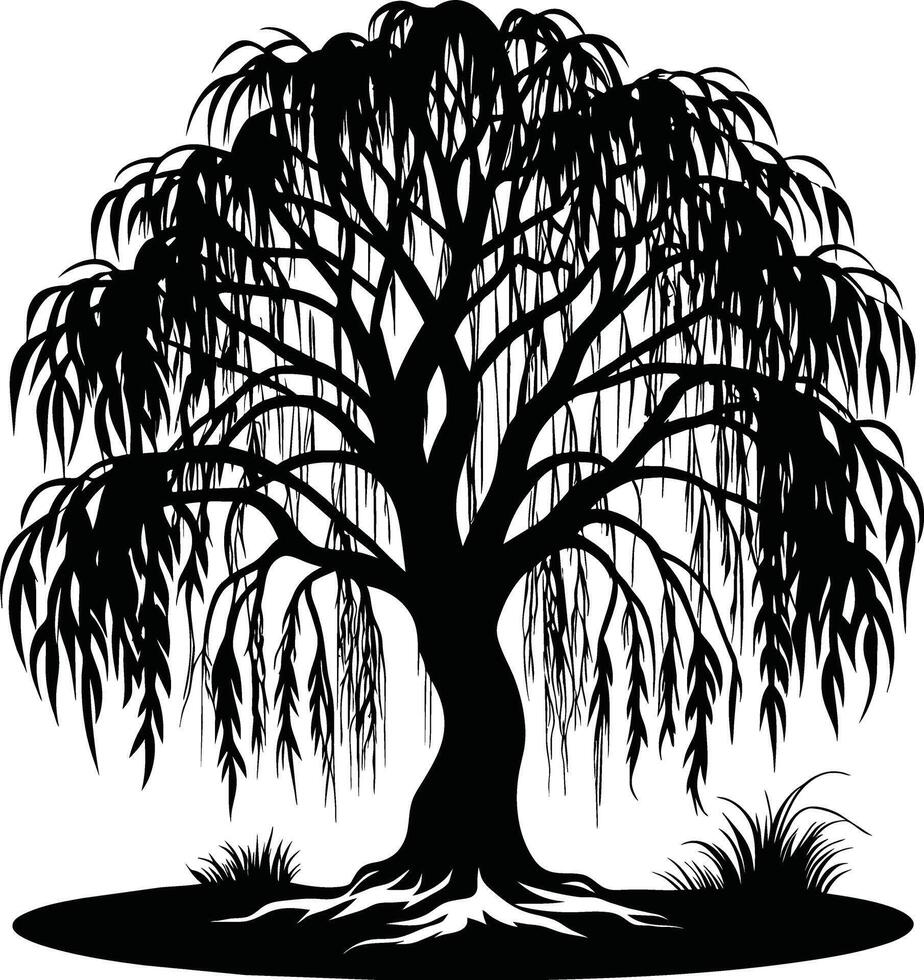 A black and white silhouette of a willow tree vector