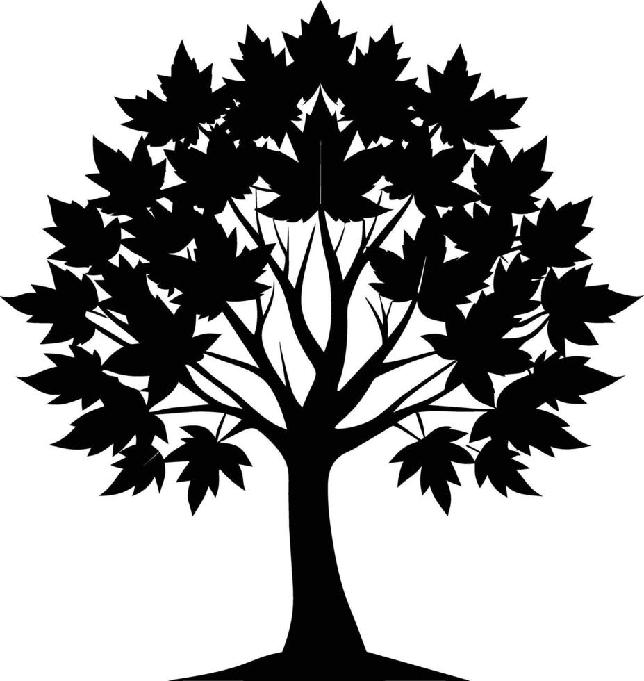 A black and white silhouette of a maple tree vector