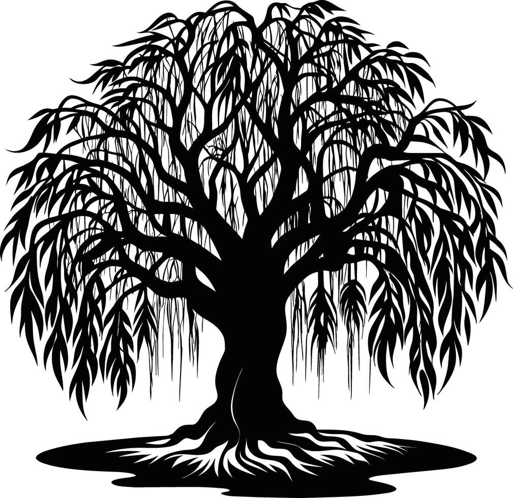 A black and white silhouette of a willow tree vector