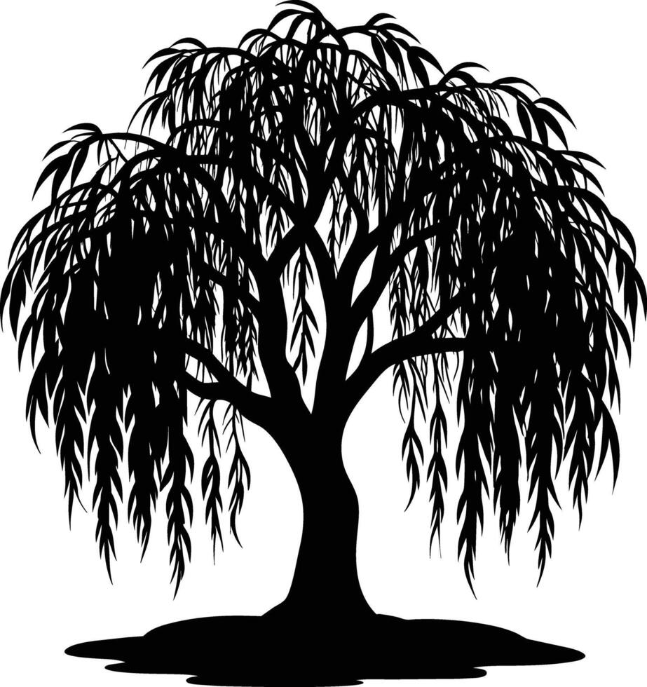 A black and white silhouette of a willow tree vector