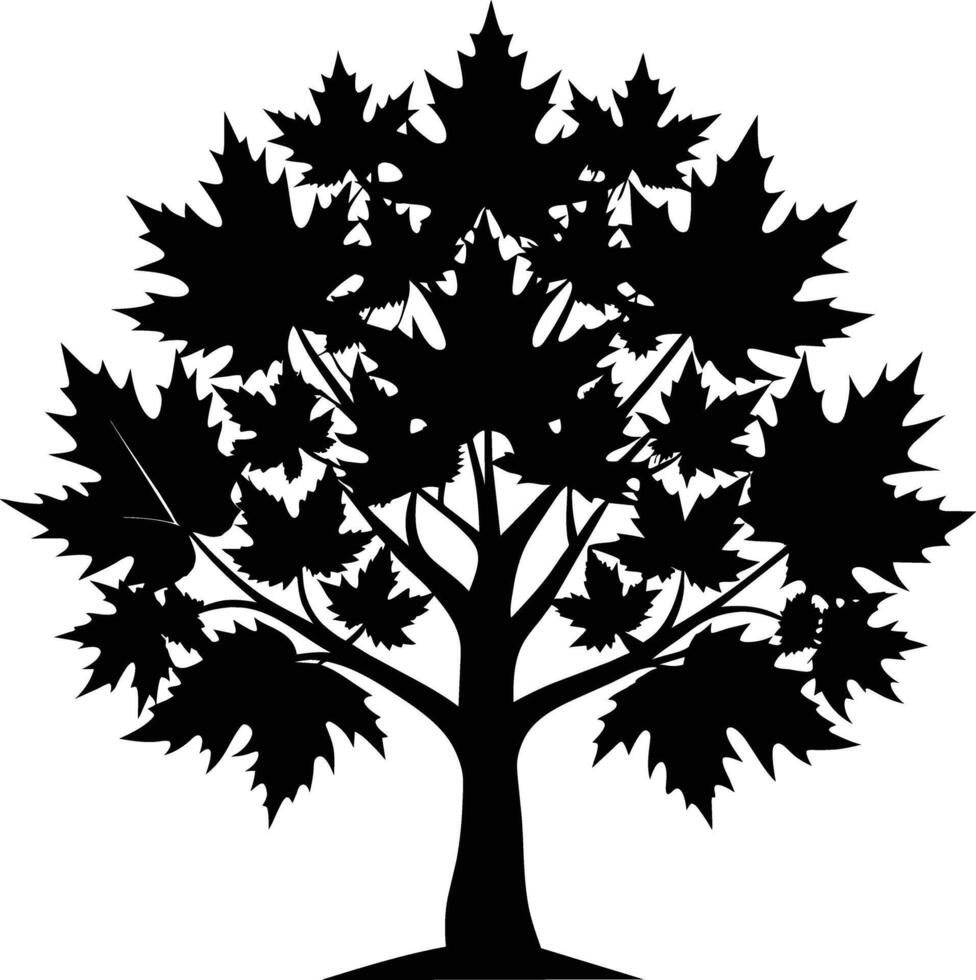 A black and white silhouette of a maple tree vector