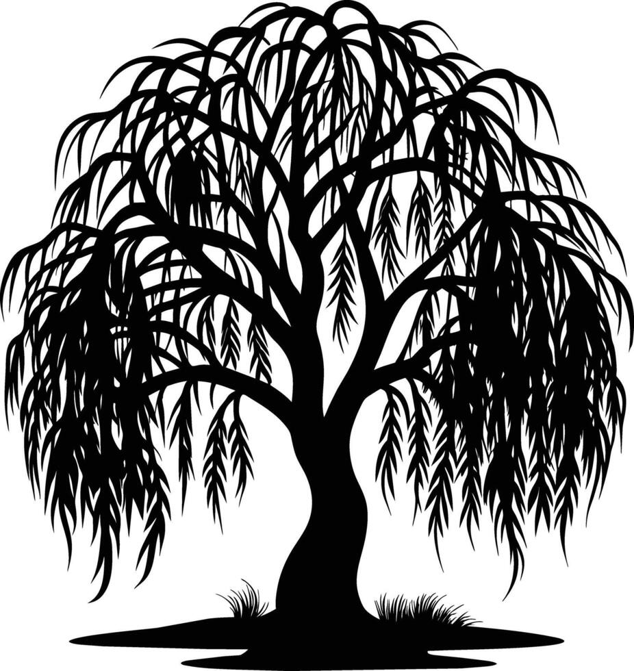 A black and white silhouette of a willow tree vector
