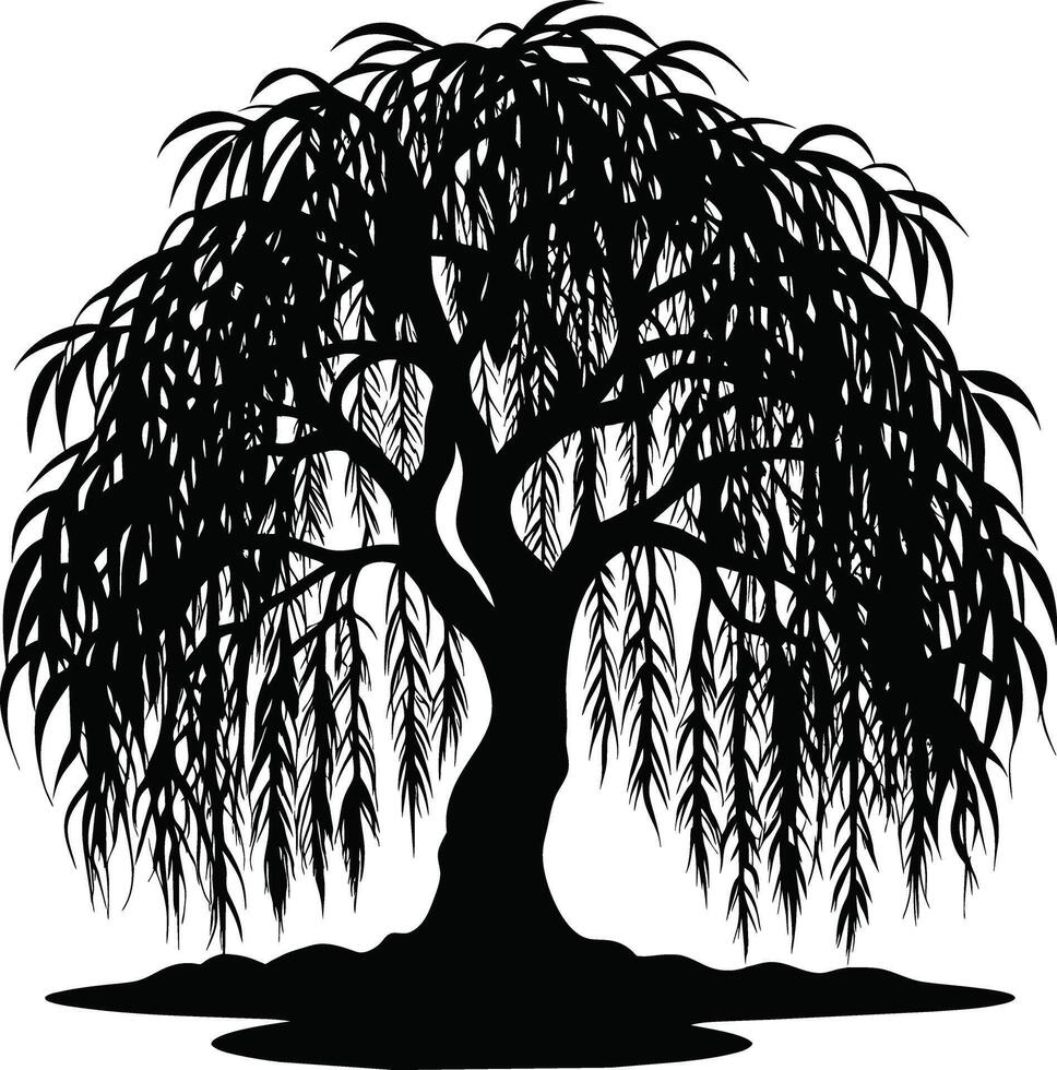 A black and white silhouette of a willow tree vector