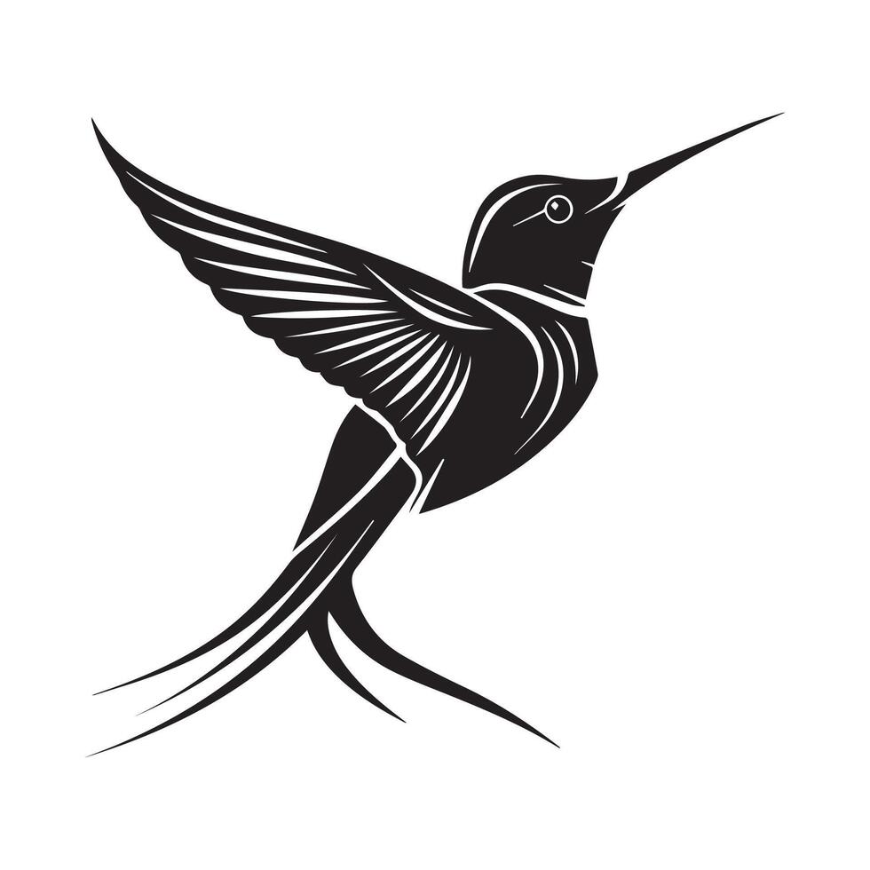 Hummingbird illustration on white background vector
