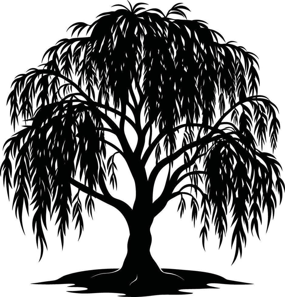 A black and white silhouette of a willow tree vector