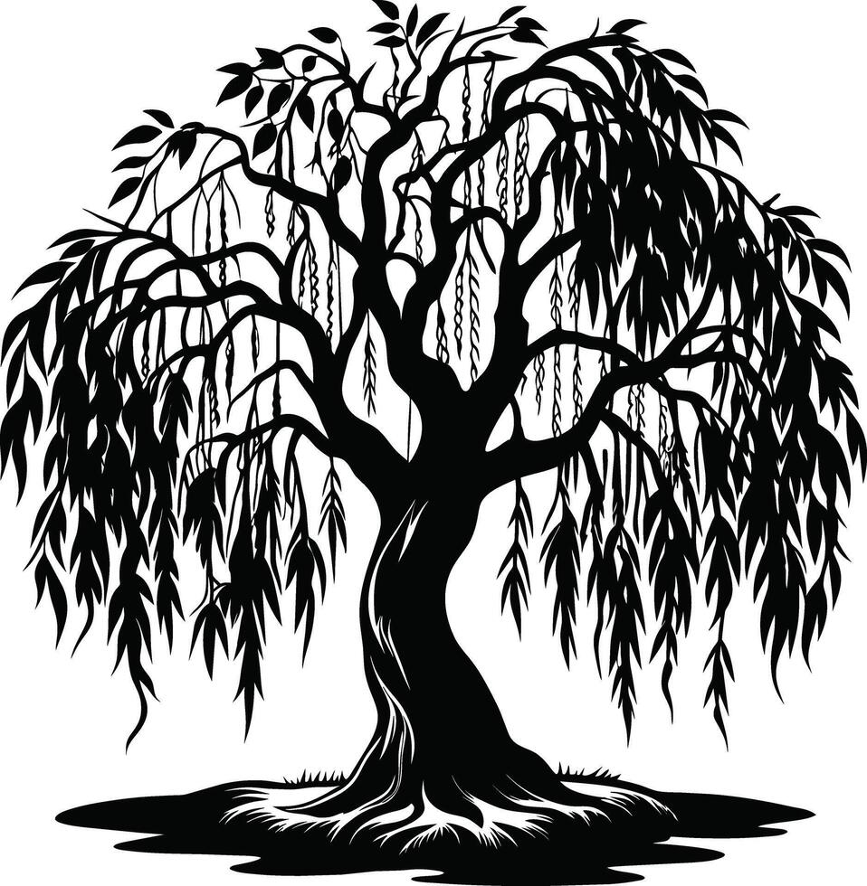 A black and white silhouette of a willow tree vector