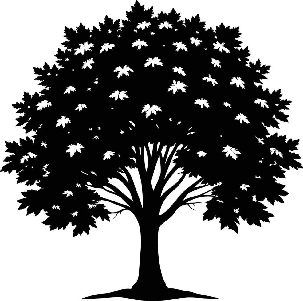 A black and white silhouette of a maple tree vector