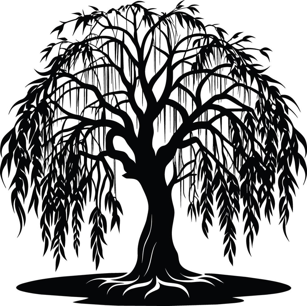 A black and white silhouette of a willow tree vector