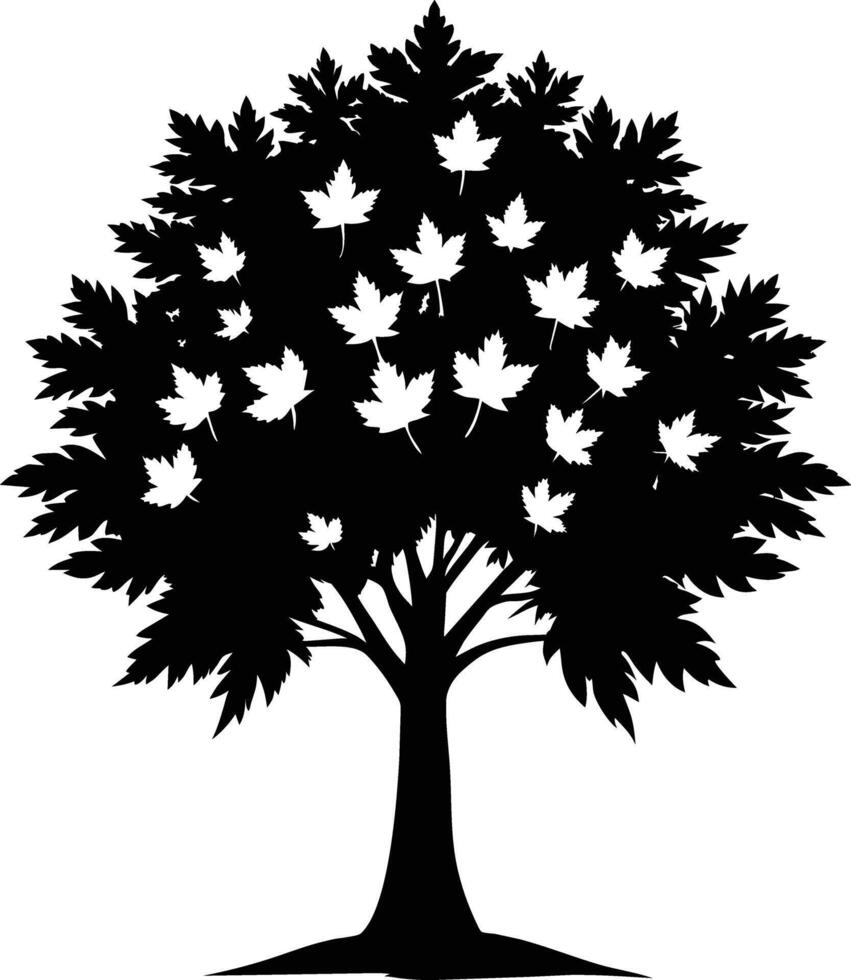 A black and white silhouette of a maple tree vector