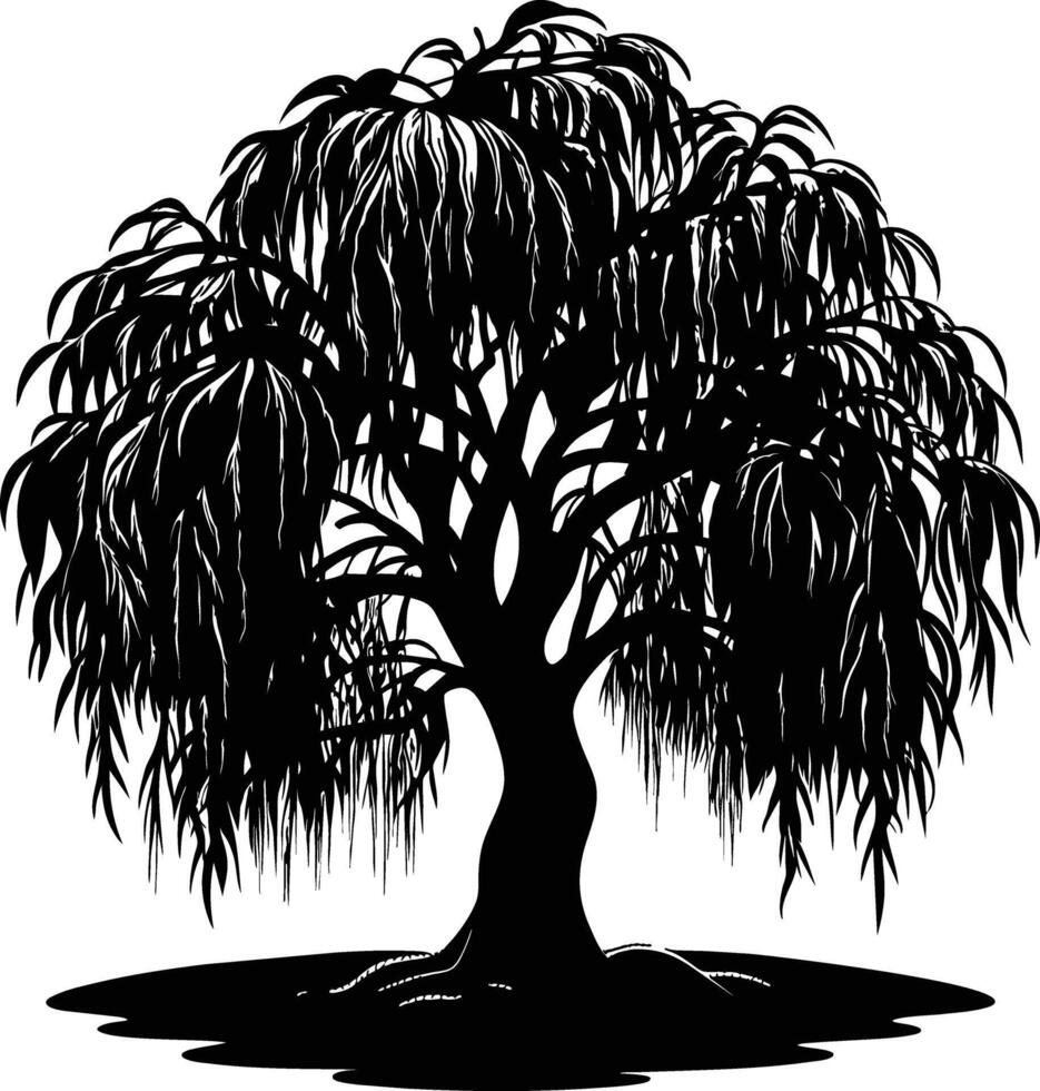 A black and white silhouette of a willow tree vector