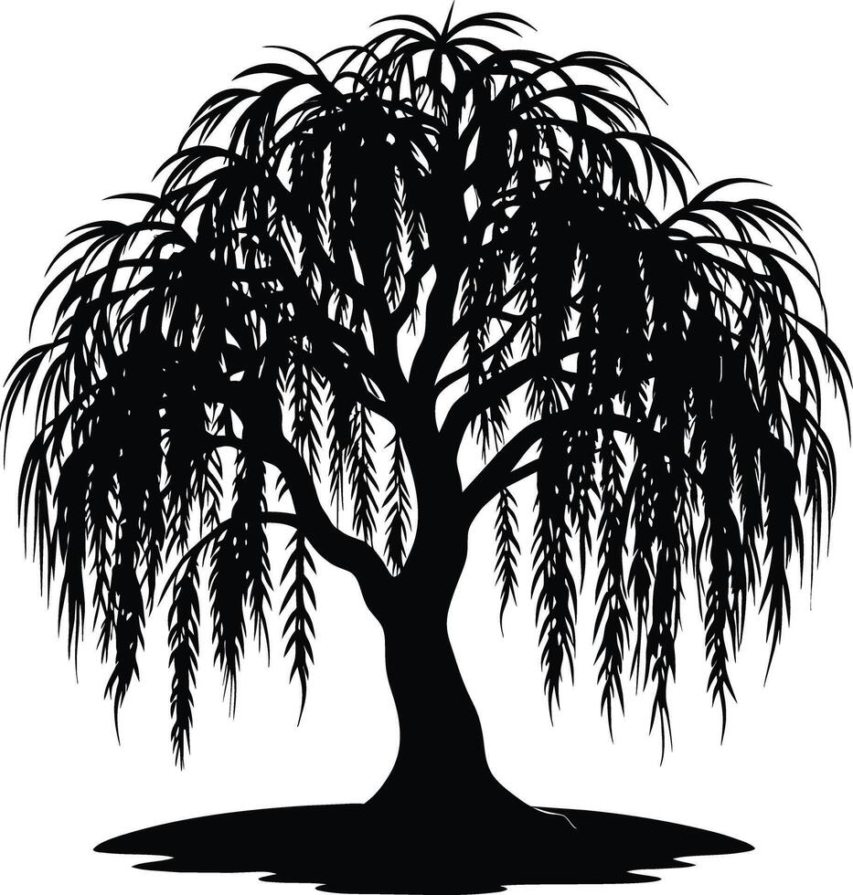 A black and white silhouette of a willow tree vector