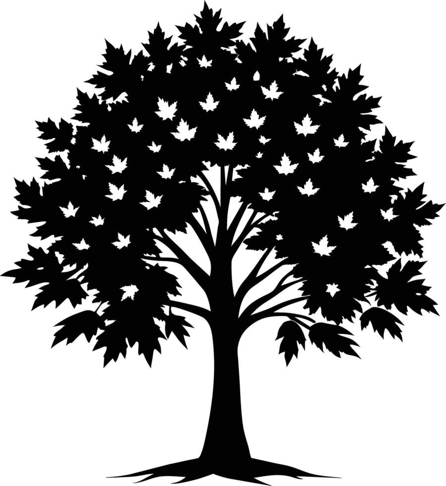 A black and white silhouette of a maple tree vector