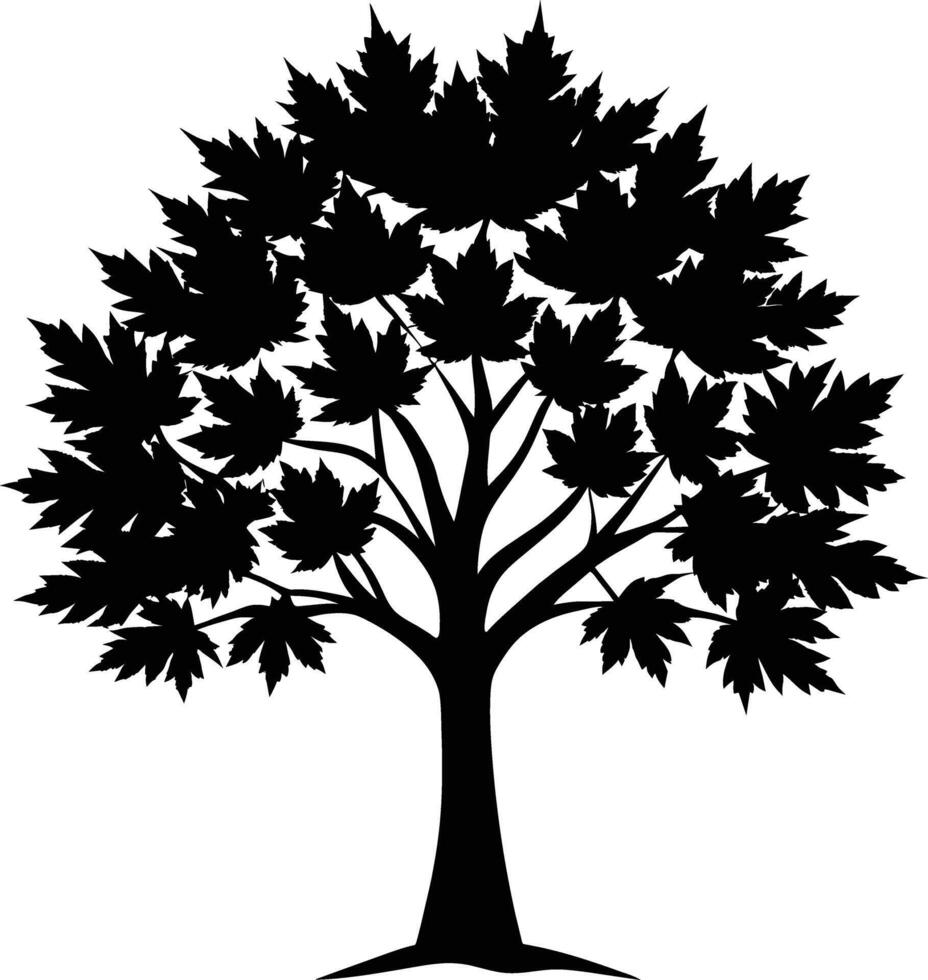 A black and white silhouette of a maple tree vector