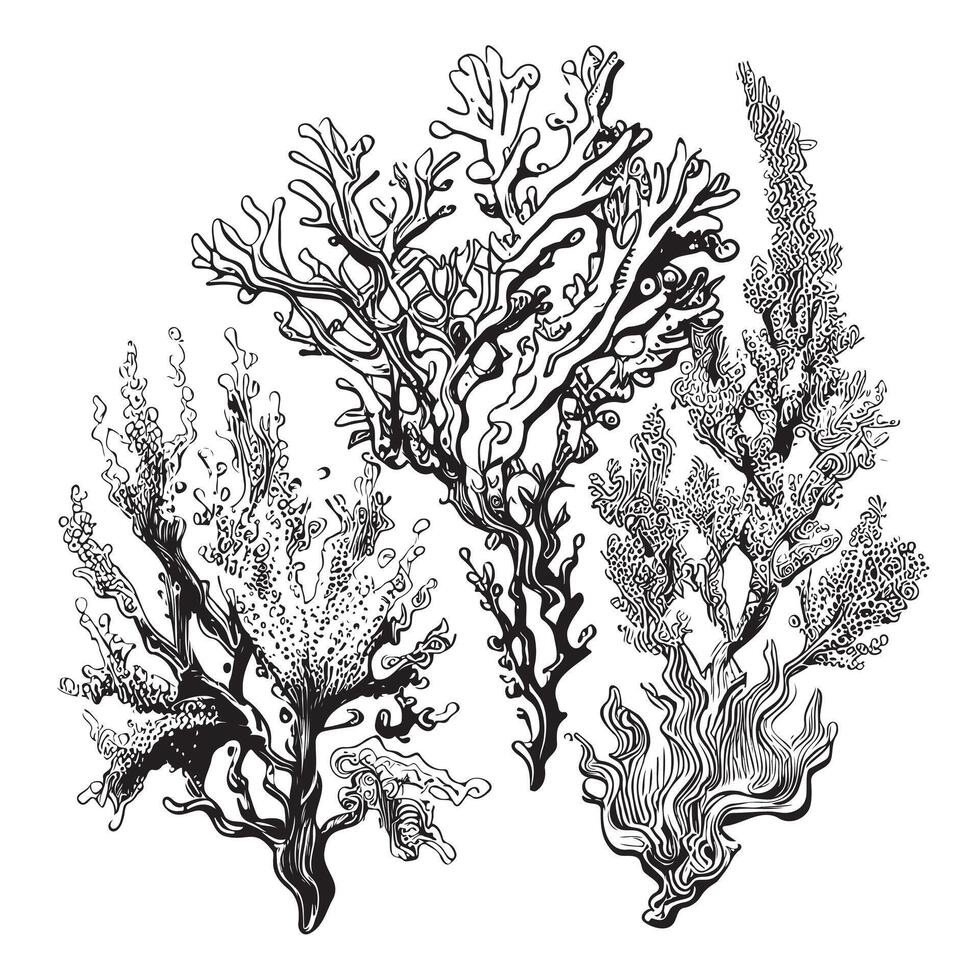 corales bosquejo mano dibujado en garabatear estilo ilustración vector
