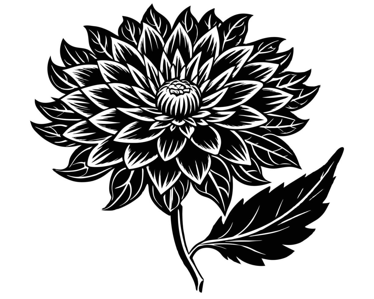 Protea flowers black silhouettes vector