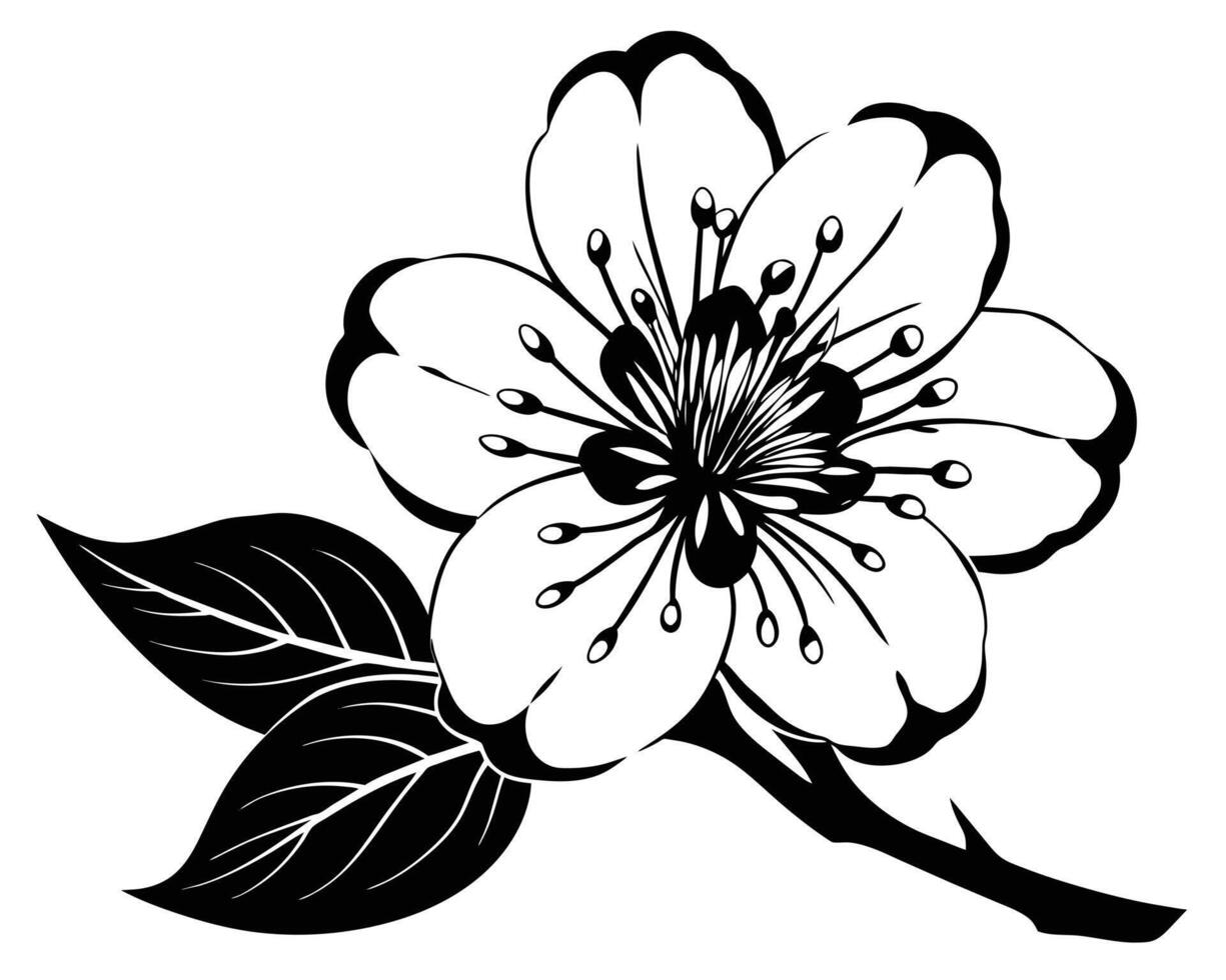 negro y blanco flor rama ornamento vector