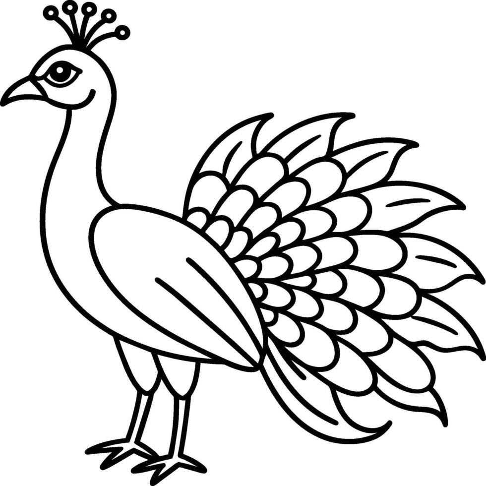 Peacock bird coloring pages. vector