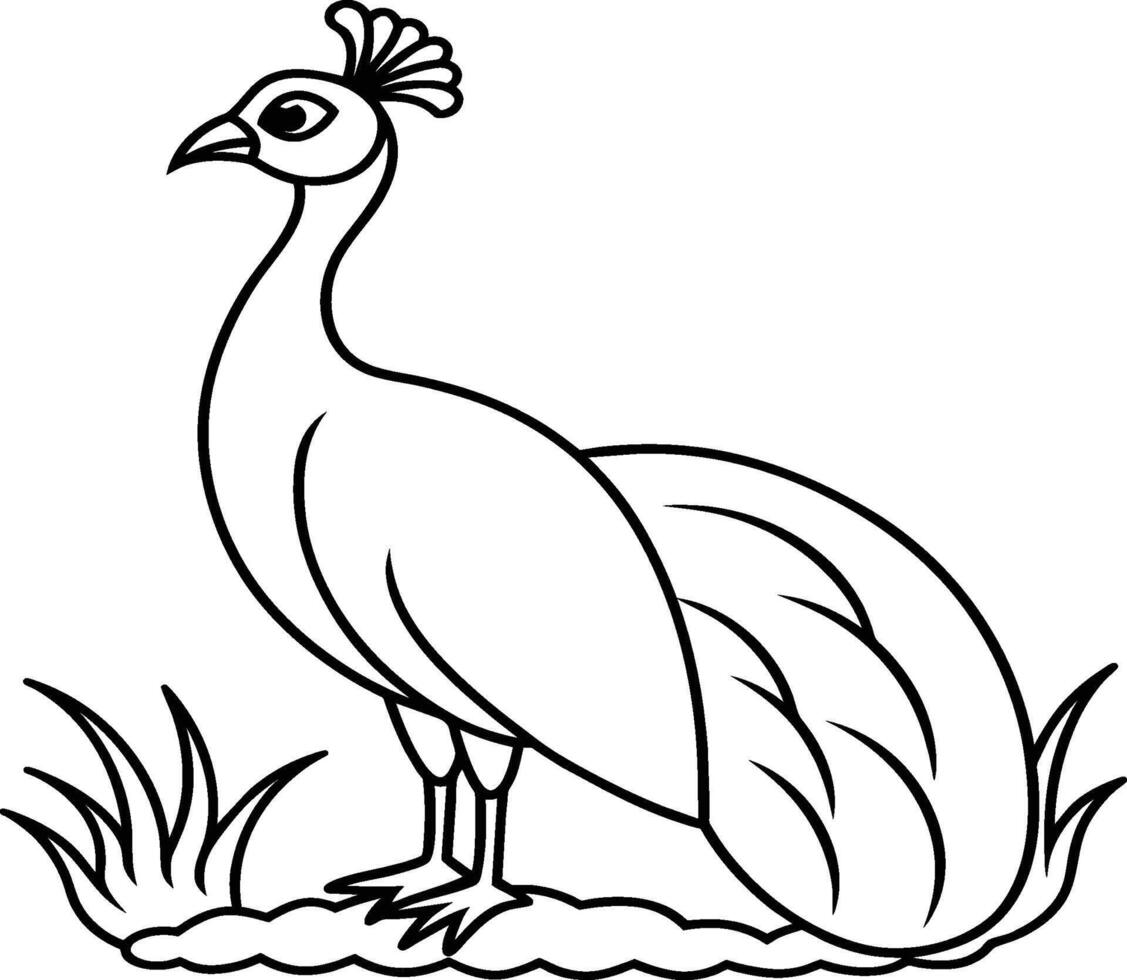 Peacock bird coloring pages. vector