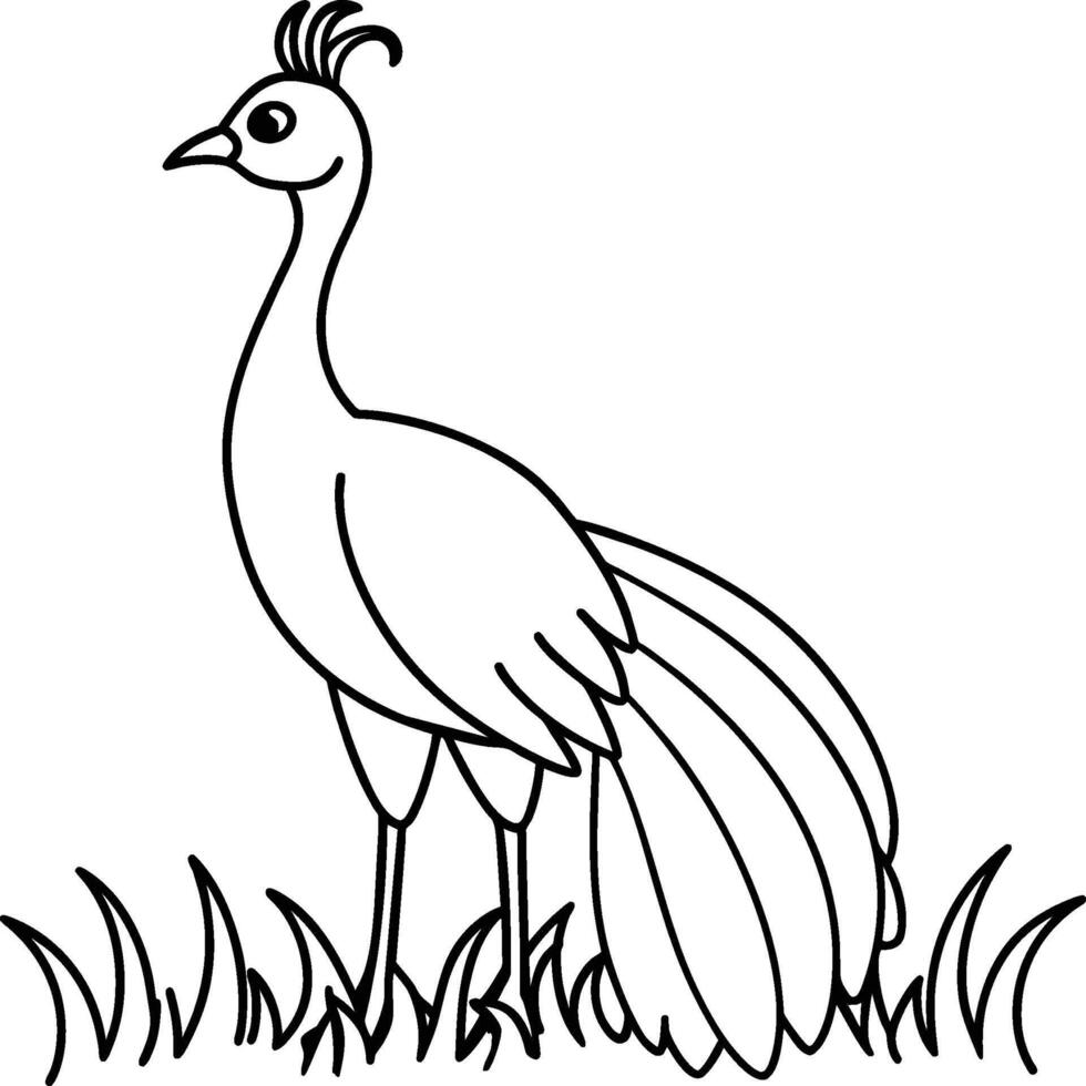 Peacock bird coloring pages. vector