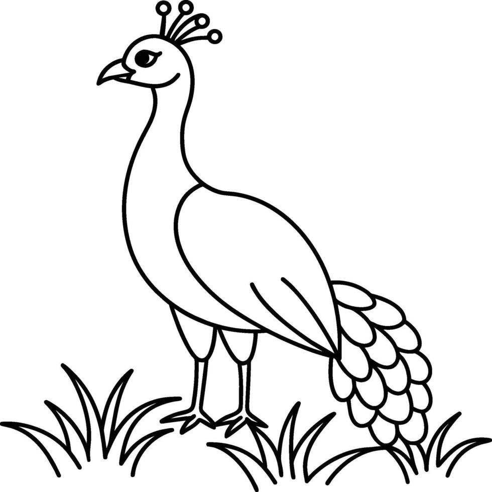 Peacock bird coloring pages. vector