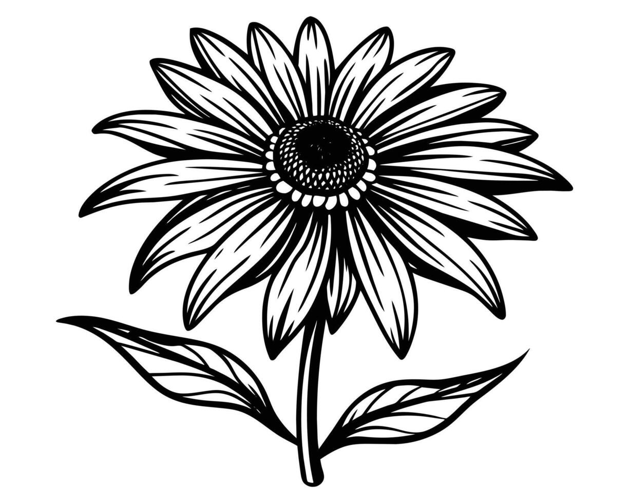 Black and white flower vector