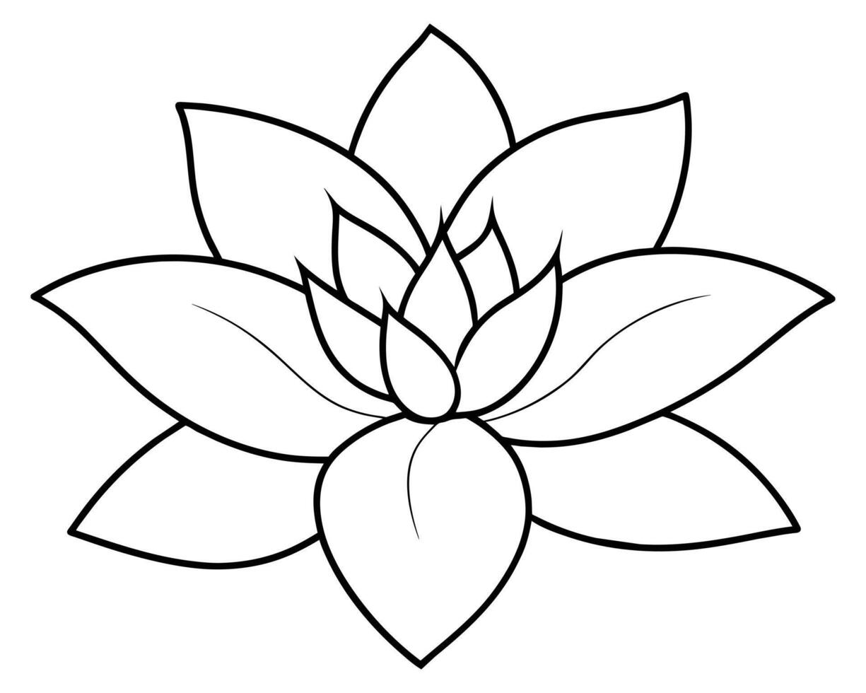 Beautiful attract illuminate foliage vector