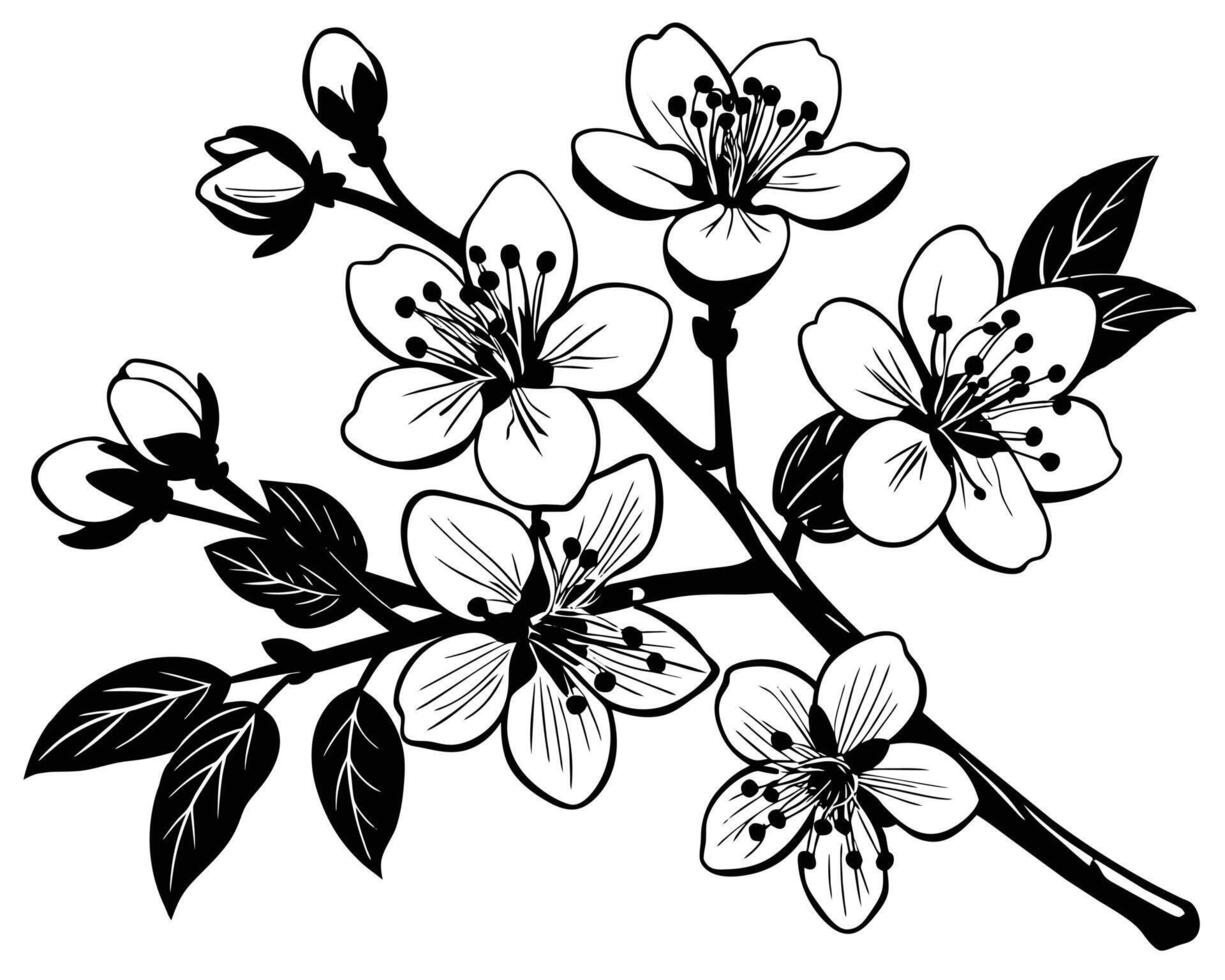 Hand Drawn Flowers on a white background vector