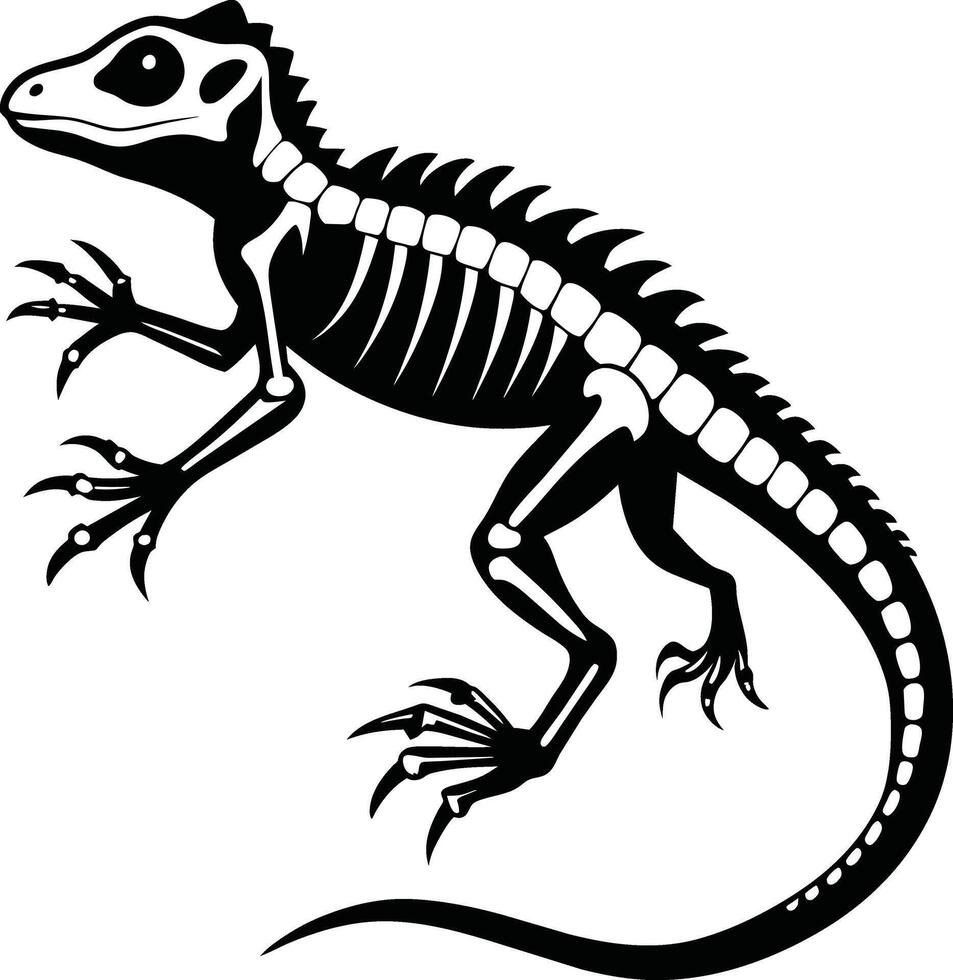 Lizard isolated on white background. Black and white illustration. vector