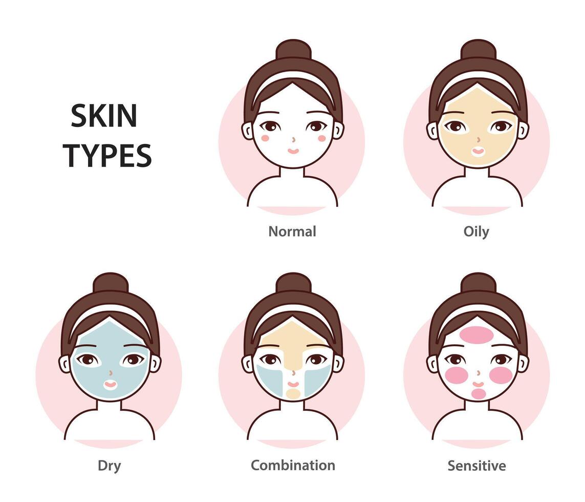 Different skin types set isolated on white background. Cute girl with basic types of skin, normal, oily, dry, combination and sensitive skin. Skin care and beauty concept illustration. vector